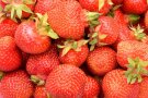 Rote Erdbeerfrüchte